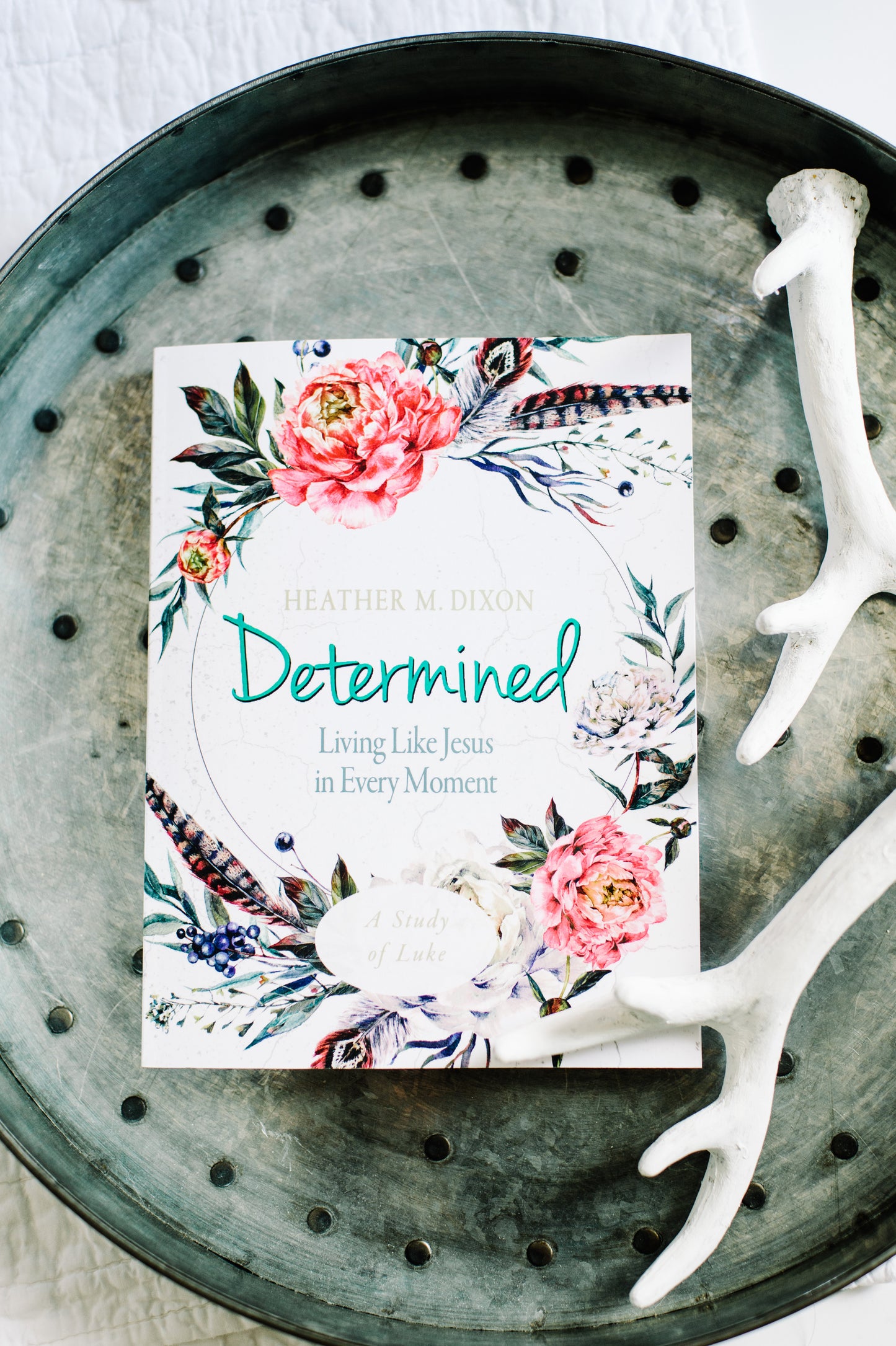 Determined: Living Like Jesus in Every Moment | Participant Workbook
