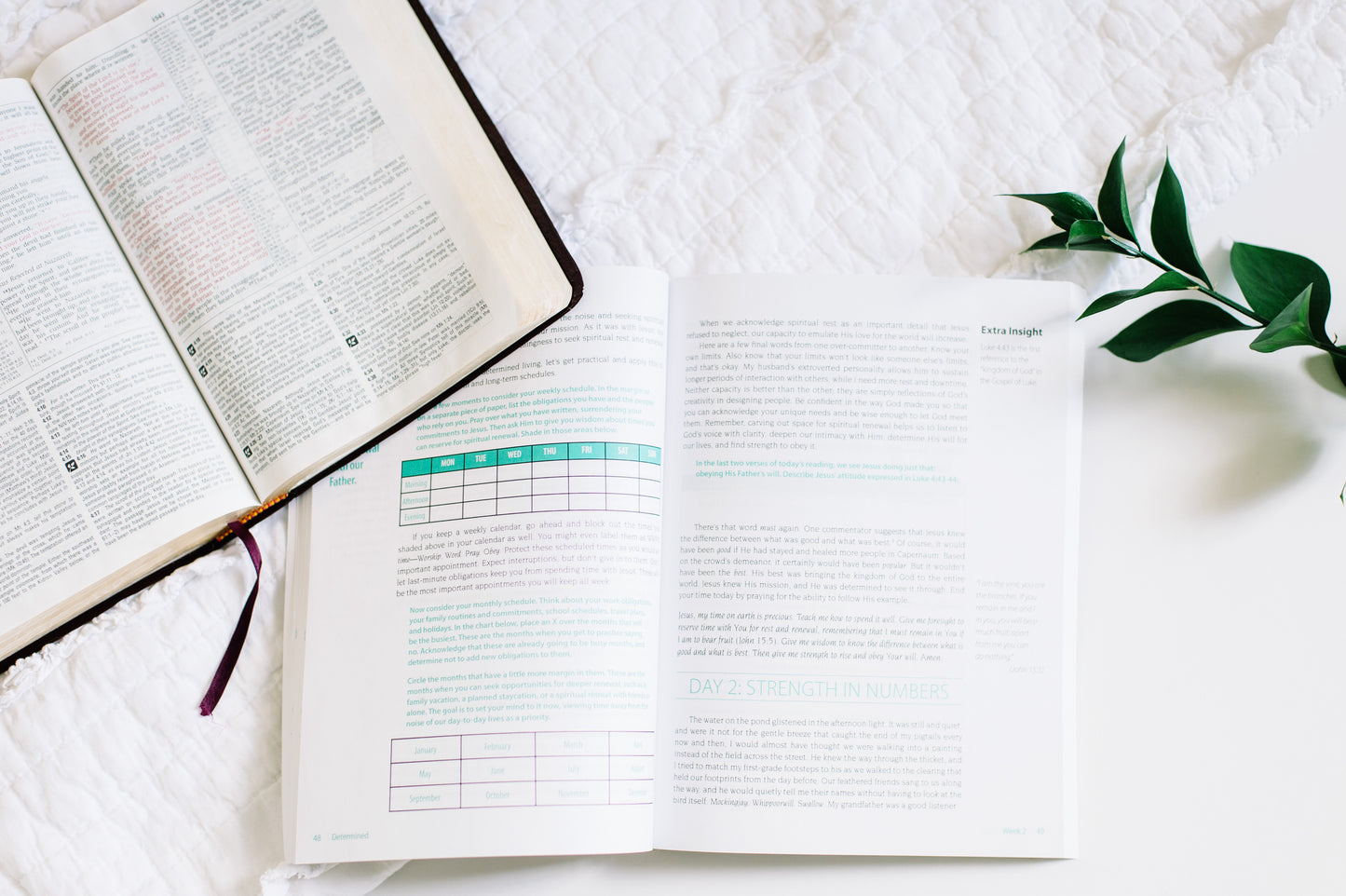 Determined: Living Like Jesus in Every Moment | Participant Workbook